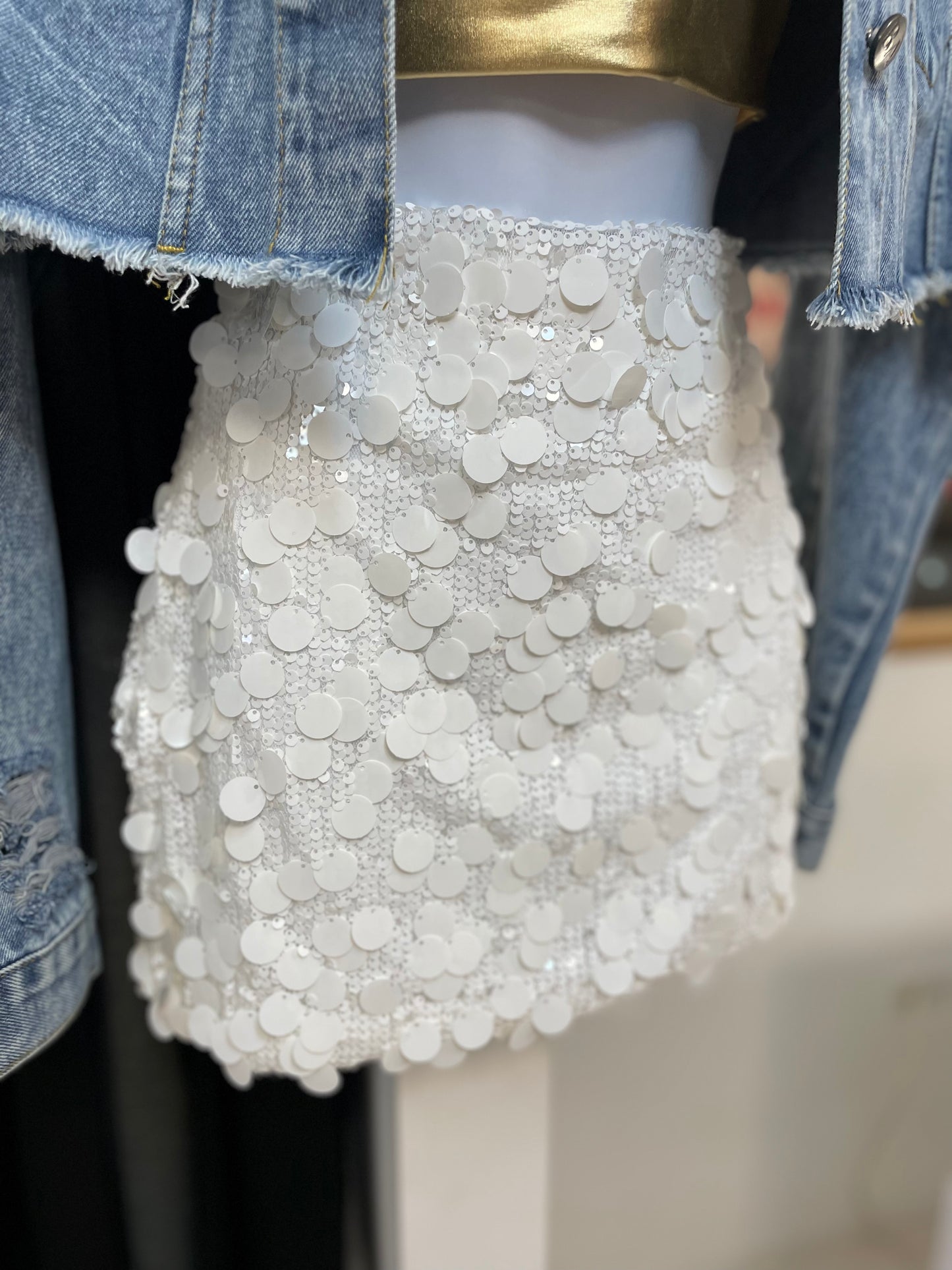 Sequin Skirt
